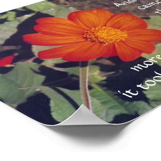 Douleur et risque - Anais Nin - affiche (Coin)