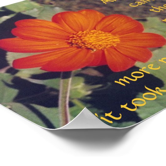 Douleur et risque - Anais Nin - affiche (Coin)