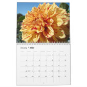 Doux coloré Fleurs Dahlia Calendrier Florales (Jan 2026)