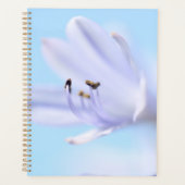 Doux Pastel bleu violet Fleur (Devant)