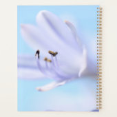 Doux Pastel bleu violet Fleur (Dos)