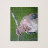 Dove Bird Legpuzzel (Verticaal)