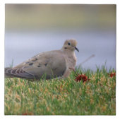 Dove Bird Tegeltje (Voorkant)