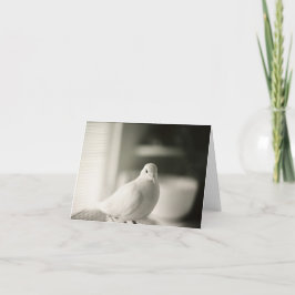 Dove Blank Kaart