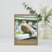 "DOVE" BRIEFKAART (Staand voorkant)