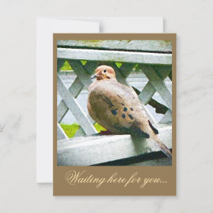 "DOVE" BRIEFKAART