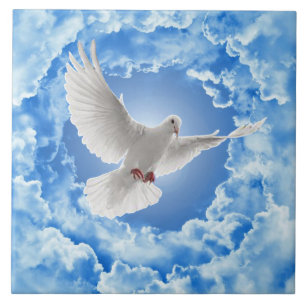 Dove Ceramic Tegel Tegeltje