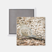 Dove de deuil 3 Magnet (Recto/Verso)