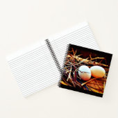 Dove Eggs Notitieboek (Binnen)