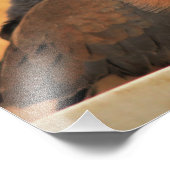 Dove Elegance Foto Afdruk (Hoek)