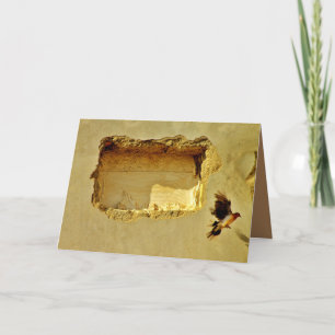 Dove in vlucht kaart