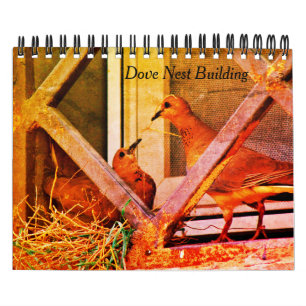 Dove Nest Building Kalender