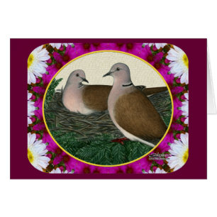 Dove Nest en Flowers