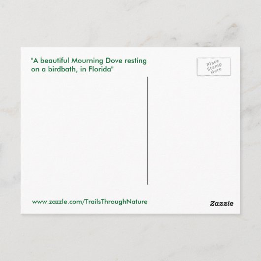 Dove oiseau Birdbath tranquillité Spiegeland Carte (Dos)