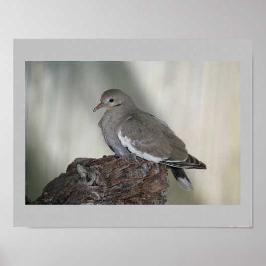 Dove Print comprimeren (Voorkant)