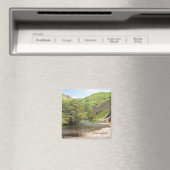 Dovedale Magneet (Insitu (Vaatwasser))