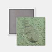 Dover Sole Fish Magneet (Voorkant / Achterkant)