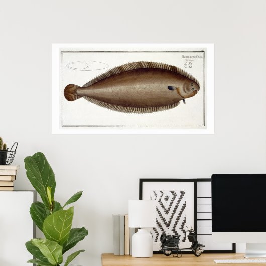 Dover Sole (Solea Solaea) bord XLV uit 'Ichthyol Poster (Thuiskantoor)