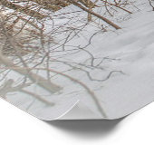 Dovered Bridge Red Snow Photo Poster (Hoek)