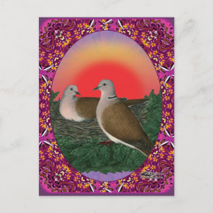 Doves Framed Briefkaart