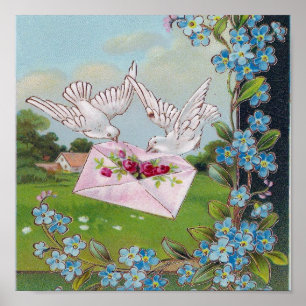 Doves leveren de post poster