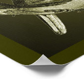 Doves on Branch Animal Art Poster (Hoek)