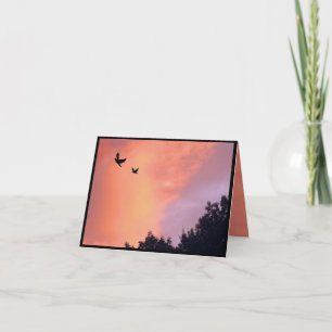 Doves op zonsondergang Bedankt