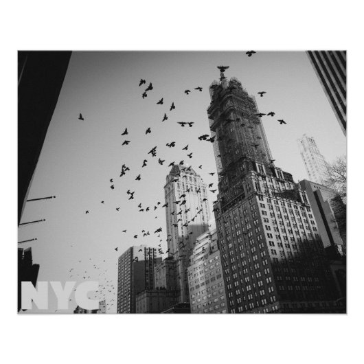 Doves over Manhattan Perfect Poster (Voorkant)