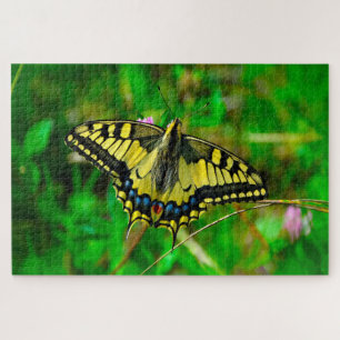 Dovetail Papilio Machaon Butterfly. Legpuzzel