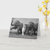 Dovima Kaart (Gele Bloem)