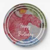 Down Hill skiër Gelukkig Verjaardagsfeest Papieren Bordje (Voorkant)