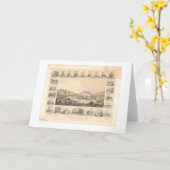 Downieville, Panoramische Kaart 1856 van CA (Gele Bloem)