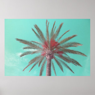 Downloadbare Blue Sky Palm Tree Foto Poster