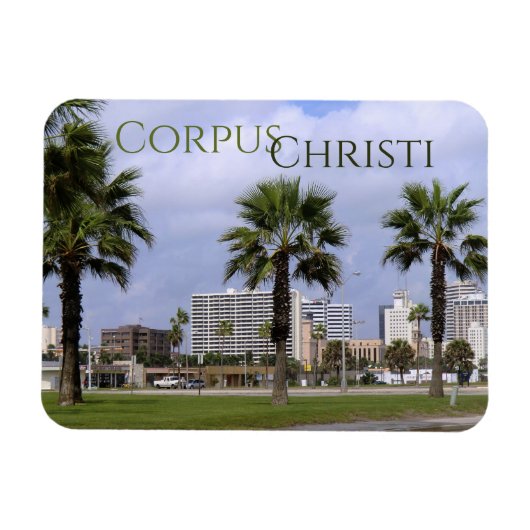 Downtown Corpus Christi Texas Souvenir Magnet Magneet (Horizontaal)