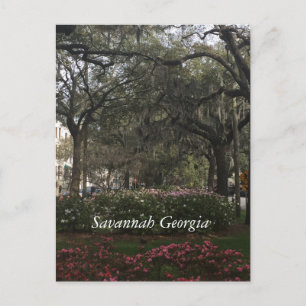 Downtown Savannah Georgia Briefkaart