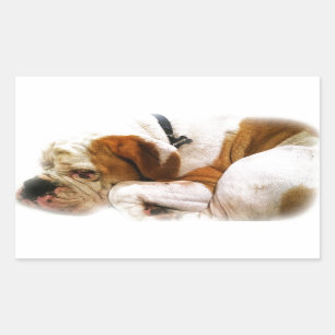 Downward Dog Rechthoekige Sticker
