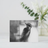 Downy Briefkaart (Staand voorkant)