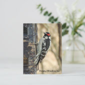 Downy Woodpecker Briefkaart (Staand voorkant)