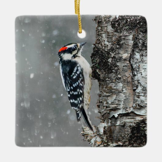 Downy Woodpecker in sneeuw - Originele foto Keramisch Ornament (Voorkant)