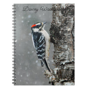 Downy Woodpecker in sneeuw - Originele foto Notitieboek