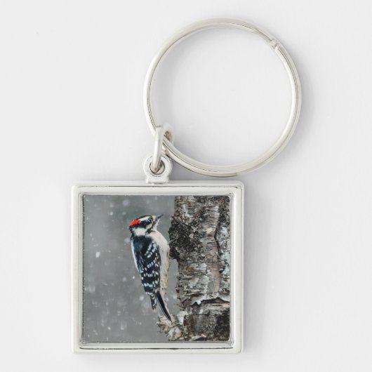 Downy Woodpecker in sneeuw - Originele foto Sleutelhanger (Voorkant)