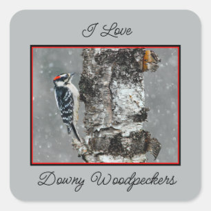 Downy Woodpecker in sneeuw - Originele foto Vierkante Sticker