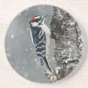 Downy Woodpecker in sneeuw - Originele foto Zandsteen Onderzetter