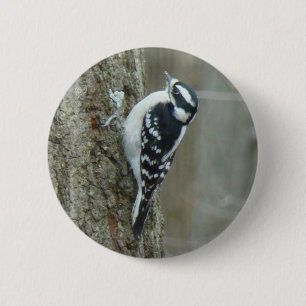 Downy Woodpecker Items Ronde Button 5,7 Cm