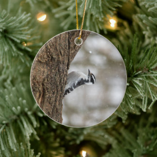 Downy Woodpecker | Keramisch Ornament