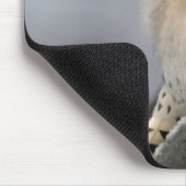 Downy Woodpecker Mousepad Muismat (Hoek)