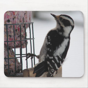 Downy Woodpecker Muismat