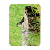 Downy Woodpecker op boomstronk magneet (Verticaal)