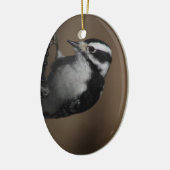 Downy Woodpecker ornament (Links)