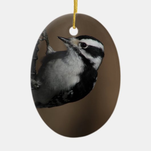 Downy Woodpecker ornament (Voorkant)